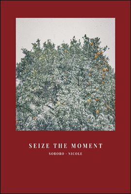 SEIZE THE MOMENT